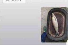 新绛贷款清欠服务